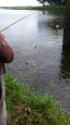 IMG-20150615-WA0000
