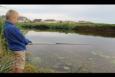 IMG 8731